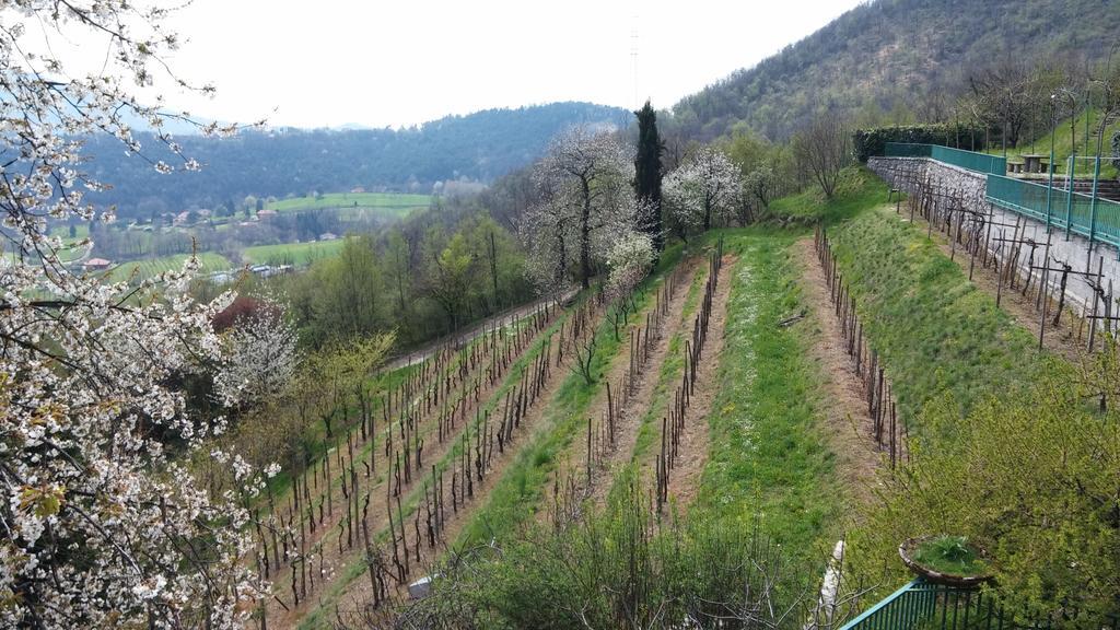 トレスコーレ・バルネアーリオ Agriturismo Il Mirabile Bed & Breakfast エクステリア 写真